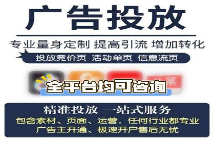 SEM广告投放的技巧与策略——成功案例分享